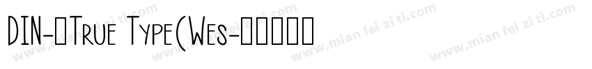 DIN-中True Type(Wes字体转换